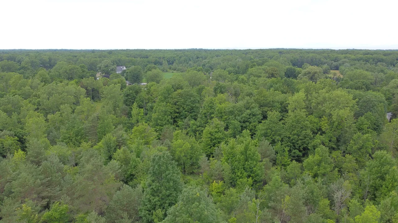 Casey Park